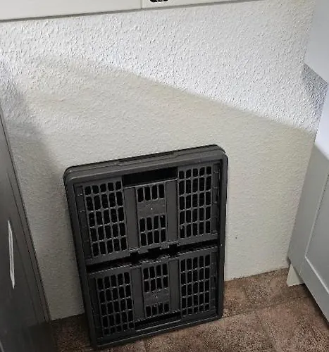 An Der Teufelsklippe * Veckenstedt